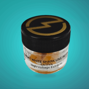 High Voltage live resin 1G great white shark